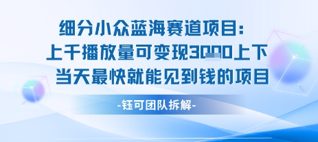 小众蓝海赛道项目：当天变现1k+适合新手操作 +适合长期玩-钱途社