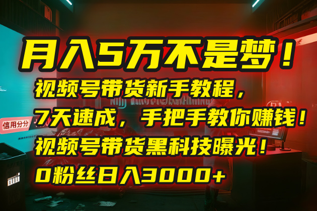 月入5万不是梦！视频号带货新手教程，7天速成，手把手教你赚钱！视频号…-钱途社