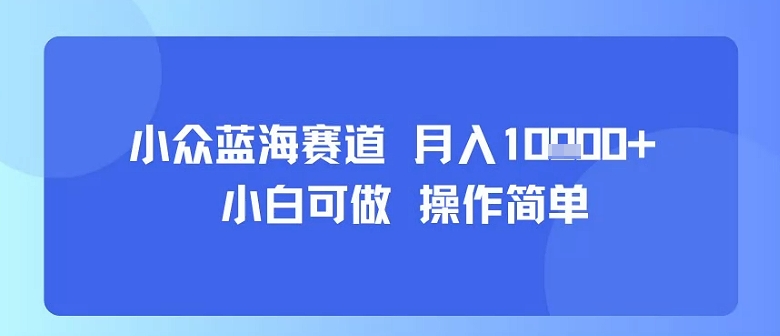 小众蓝海赛道，小白可做，操作简单，每天30分钟，月入1W+-钱途社