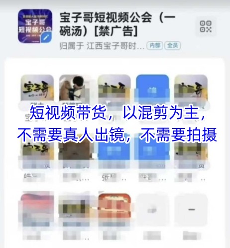宝子哥头部团队短视频带货，以混剪为主，不需要真人出镜，不需要拍摄【更新11月】-钱途社