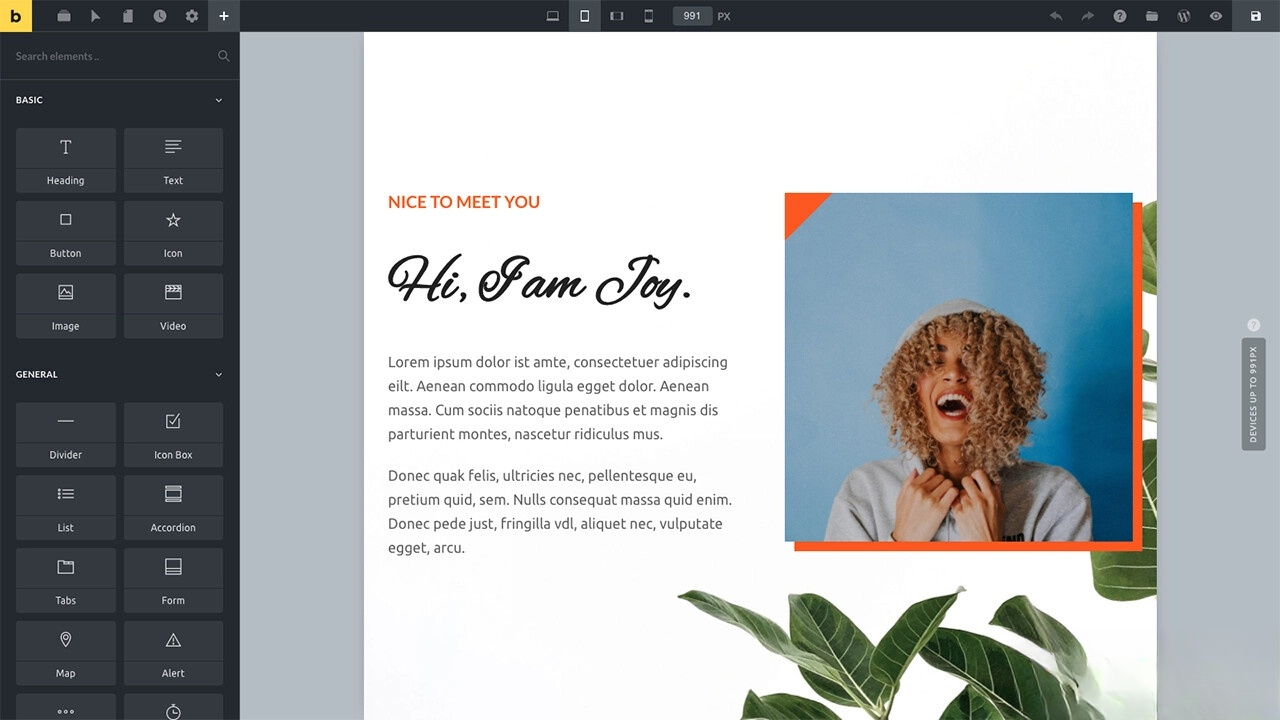 WordPress主题Bricks v1.9 破解版-钱途社