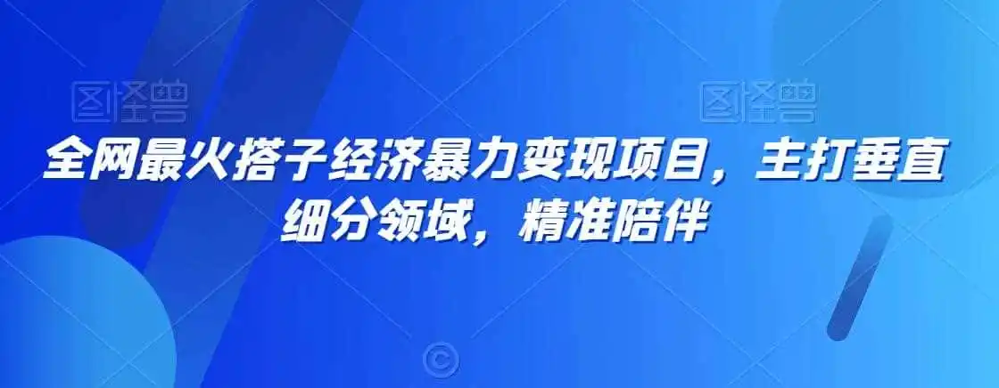 全网最火搭子经济暴力变现项目，主打垂直细分领域，精准陪伴【揭秘】-钱途社
