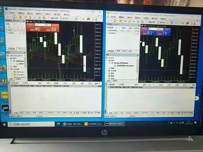美金对冲创业项目，日收益1000-3000，小众暴力项目稳定运行8年-钱途社