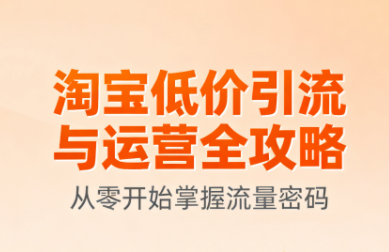 淘宝低价引流与运营全攻略(更新9月)-钱途社