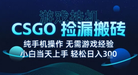 8月最新游戏搬砖,CSGO纯挂G,不需要玩游戏,实现真挂G,月入1W+【揭秘】-钱途社