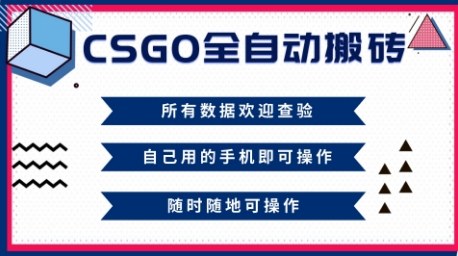 CSGO全自动搬砖，年底钱回家好项目，当天可拿到结果，新手小白轻松月入1W+【揭秘】-钱途社