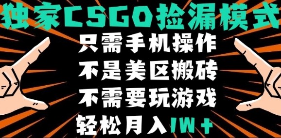 CSGO自动捡漏项目，最新独家玩法，不是美区搬砖，不需要了解和玩游戏，新手小白轻松月入1W+【揭秘】-钱途社