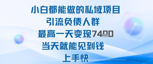 2025年小白都能做的私域项目引流负债人群最高一天变现1k+高变现难度低当天就能见到钱上手快-钱途社