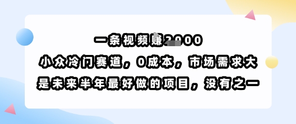 一条视频挣1k，小众冷门赛道，0成本，市场需求大，是未来半年最好做的项目，没有之一-钱途社
