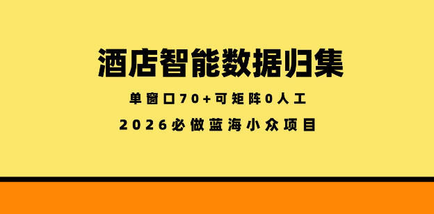 酒店智能数据归集，小众蓝海已经稳定半年之久，单窗口70+零成本矩阵开干【揭秘】-钱途社