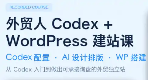 大卫·外贸人Codex + WordPress建站课(更新8月)-钱途社