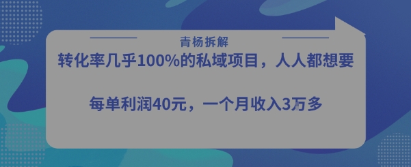 转化率最高的私域项目，每单利润40-50米，月入过1w-钱途社