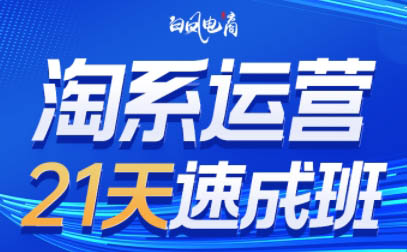 白凤电商·淘系运营21天速成班(更新2026)-钱途社