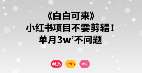 小白可来 小红书项目不需要剪辑 单月3w不是问题-钱途社