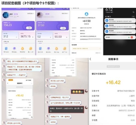 当天能收益的3个小项目拆解_包括平台+操作流程-钱途社