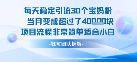 每天稳定引流30个人 当月变成超过了4个W项目流程非常简单适合小白-钱途社