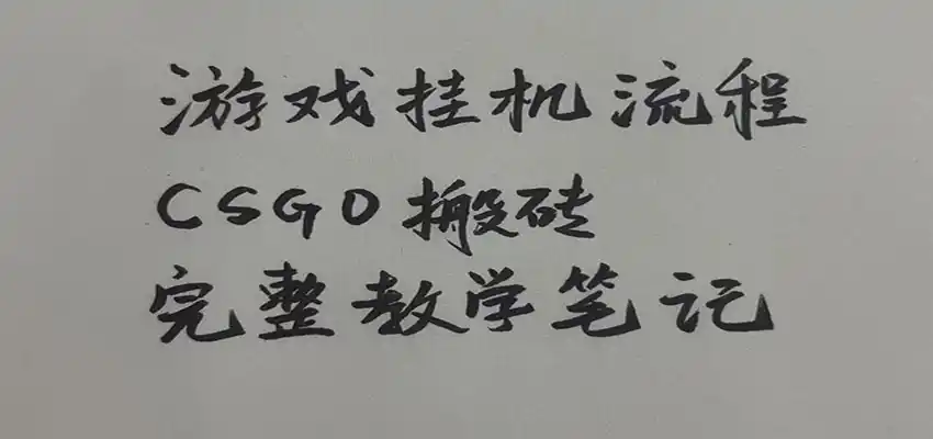 游戏挂机全流程笔记分享，CSGO游戏搬砖，小白看了当天学会见收益-钱途社
