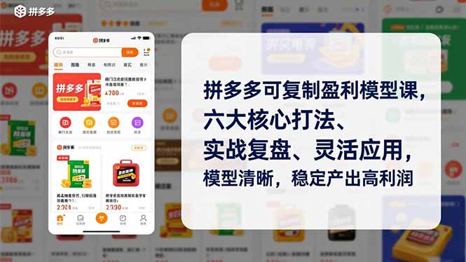 拼多多可复制盈利模型课，六大核心打法、实战复盘、灵活应用，模型清晰，稳定产出高利润-钱途社