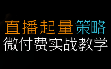 半野老师·直播带货起量与微付费必学课视频号-钱途社