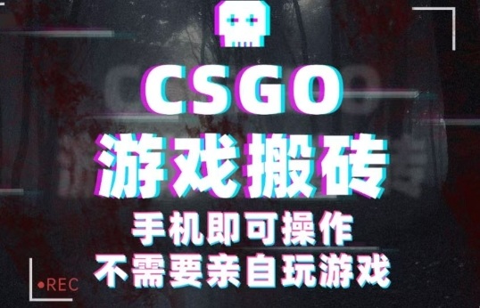 CSGO游戏挂G捡漏，单日扫货5张+，年底小高峰上车可吃肉，手机即可操作，兼职副业创业网创【揭秘】-钱途社