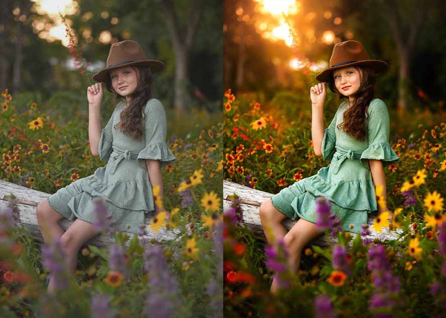 大师级GTG出品-老友记系列AI自适应预设The Friends Preset Collection-钱途社