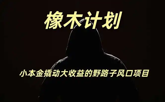 橡木计划，小投入撬动高回报的风口野路子项目，一天投入2小时左右-钱途社