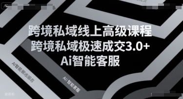 跨境私域线上高级课程，跨境私域极速成交3.0+Ai智能客服-钱途社