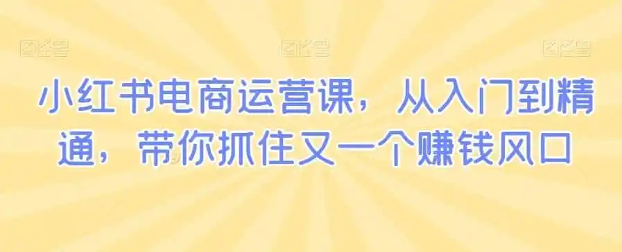 小红书电商运营课，从入门到精通，带你抓住又一个赚钱风口-钱途社