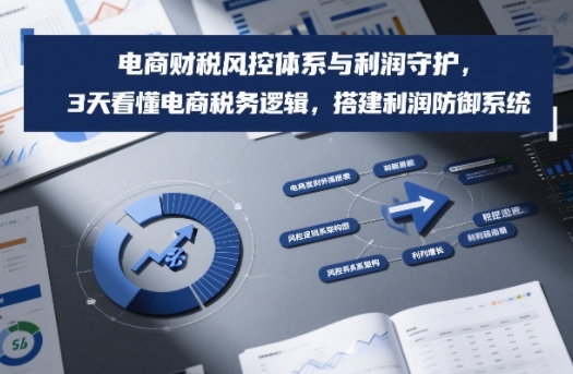 电商财税风控体系与利润守护，3天看懂电商税务逻辑，搭建利润防御系统-钱途社