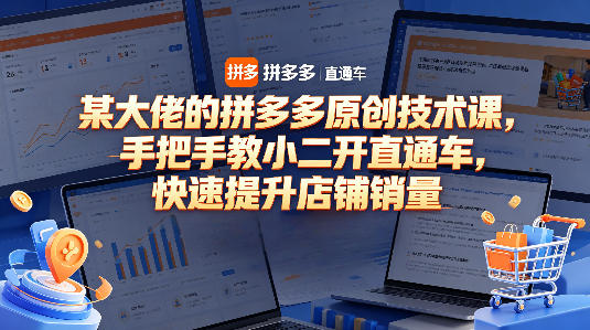 某大佬的拼多多原创技术课，手把手教小二开直通车，快速提升店铺销量-钱途社
