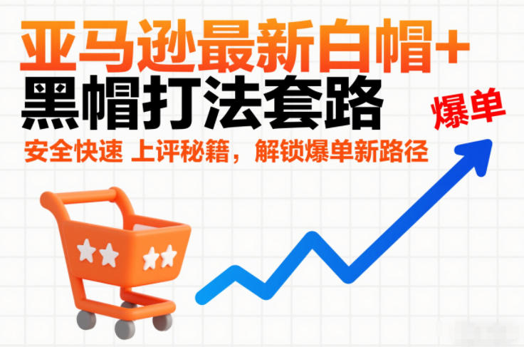 亚马逊最新白帽+黑帽打法套路,安全快速上评秘籍,解锁爆单新路径-钱途社