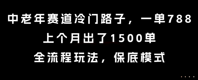 中老年赛道冷门路子,一单788,上个月出了1500单,全流程玩法,保底模式【揭秘】-钱途社