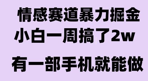 情感暴力掘金项目,新人操作一周挣了2W,长期稳定小白可做【揭秘】-钱途社