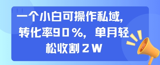 一个小白可操作私域，转化率90%，单月轻松收割2W-钱途社