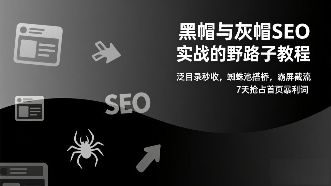 黑帽与灰帽SEO实战的野路子教程：泛目录秒收，蜘蛛池搭桥，霸屏截流，7天抢占首页暴利词-钱途社