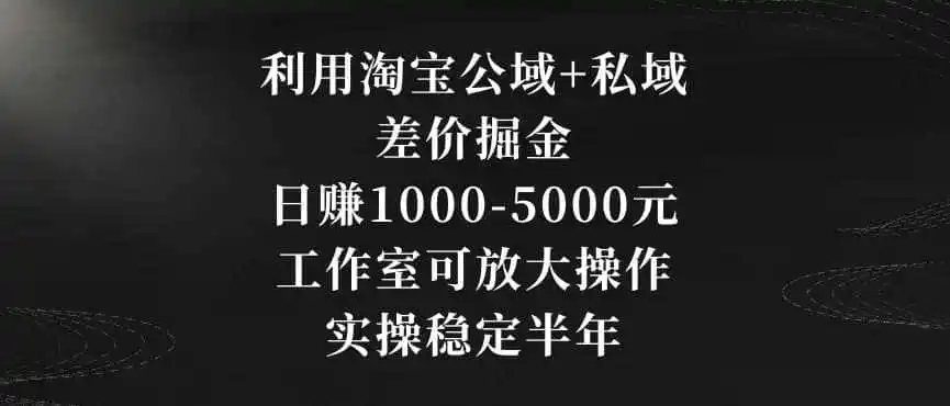 利用淘宝公域+私域差价掘金，日赚1000-5000元，工作室可放大操作，实操稳定半年【揭秘】-钱途社