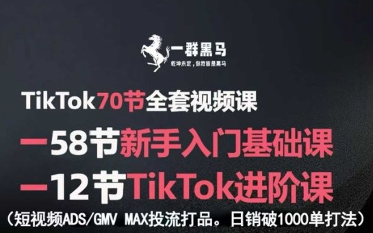 TikTok全套视频课，新手入门+进阶课，短视频ADS-GMV MAX投流打品，日销破1000单打法-钱途社