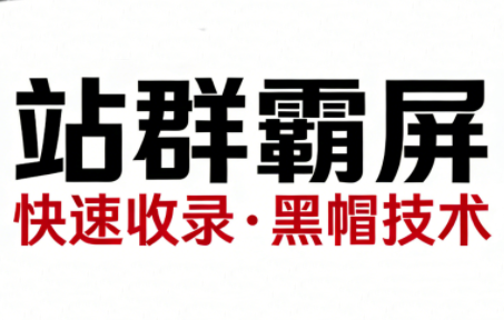 SEO野路子实战全集：快速收录、站群霸屏、黑帽技术-钱途社