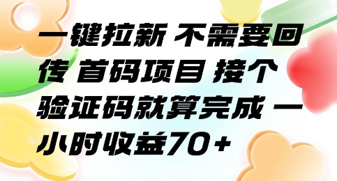 一键拉新 不需要回传 首码项目 接个验证码就算完成 一小时收益70+【揭秘】-钱途社