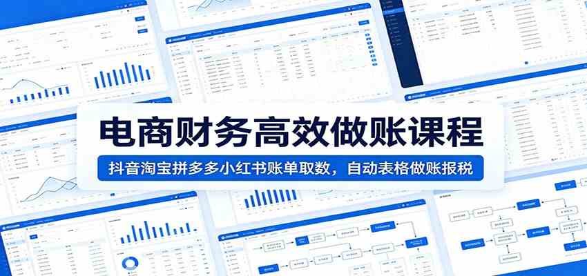 电商财务高效做账课程：抖音淘宝拼多多小红书账单取数，自动表格做账报税-钱途社