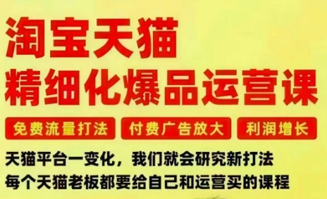 淘宝天猫精细化爆品运营课，免费流量打法-付费广告放大-利润增长-三大核心痛点，一次全部解决-钱途社