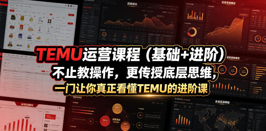 TEMU运营课程（基础+进阶），不止教操作，更传授底层思维，一门让你真正看懂TEMU的进阶课-钱途社